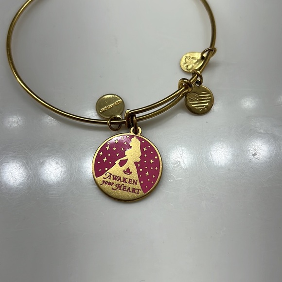 Retired Alex and ani bracelet - Picture 2 of 3